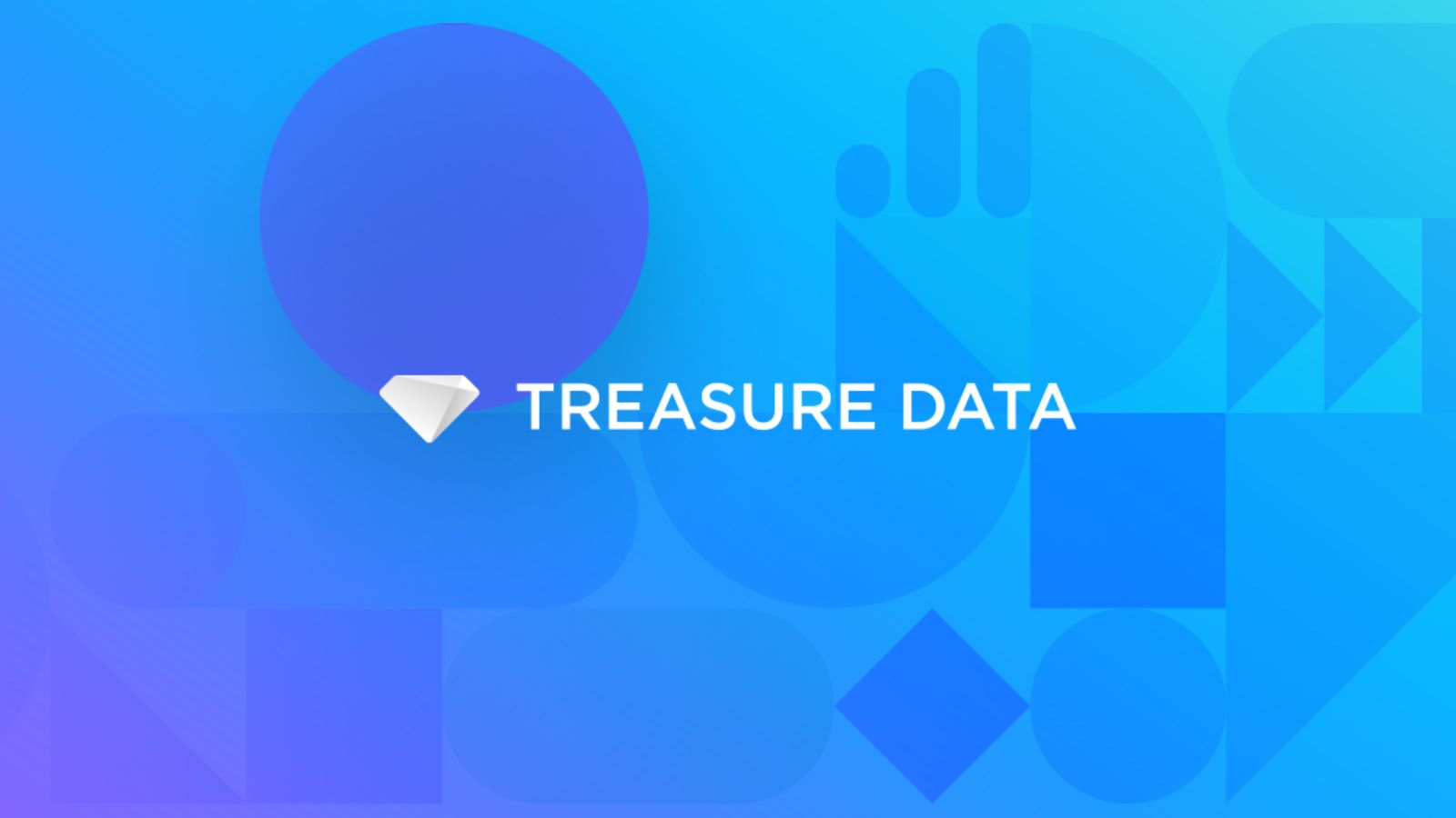 treasure data