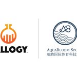 ballogy and aquabloom logo