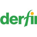 ruderfinn logo