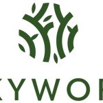 skyword logo