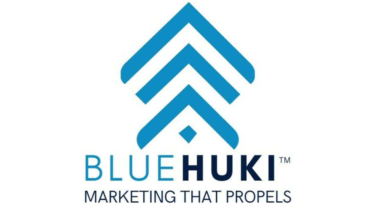 bluehuki logo