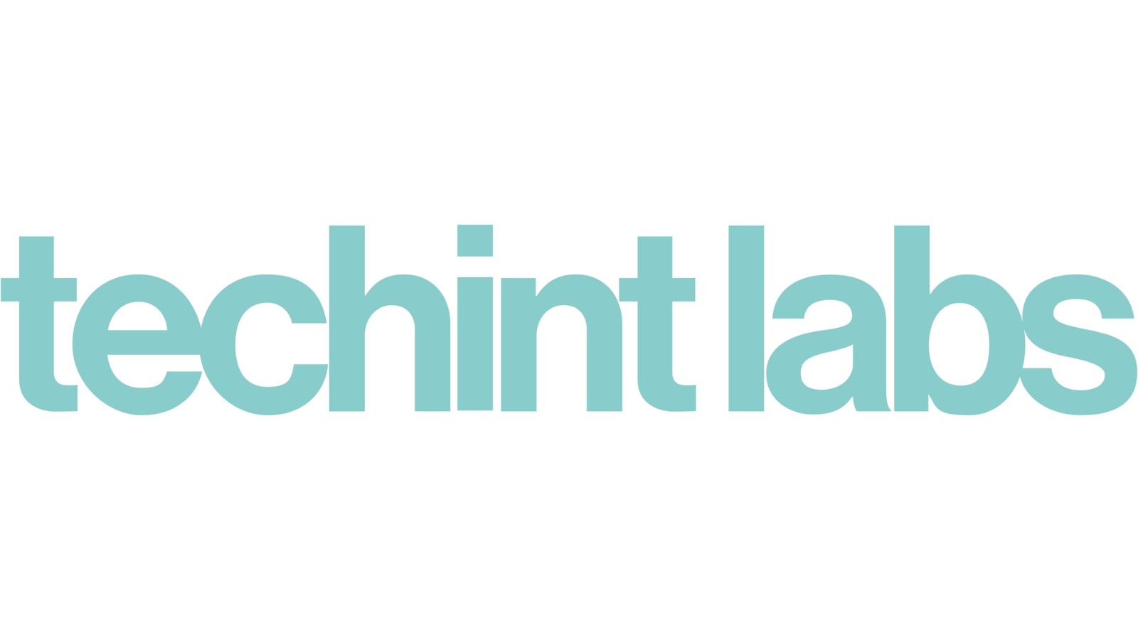 techint logo