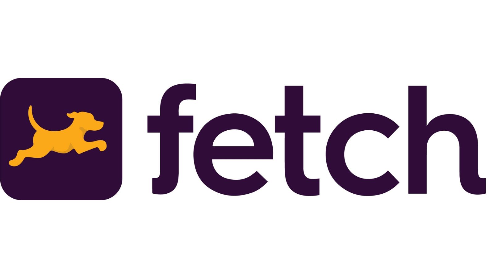 fetch logo