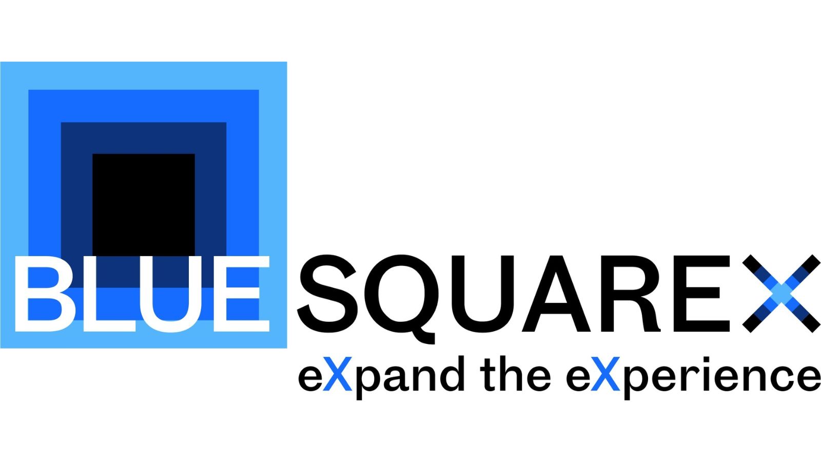 bluesquarex logo