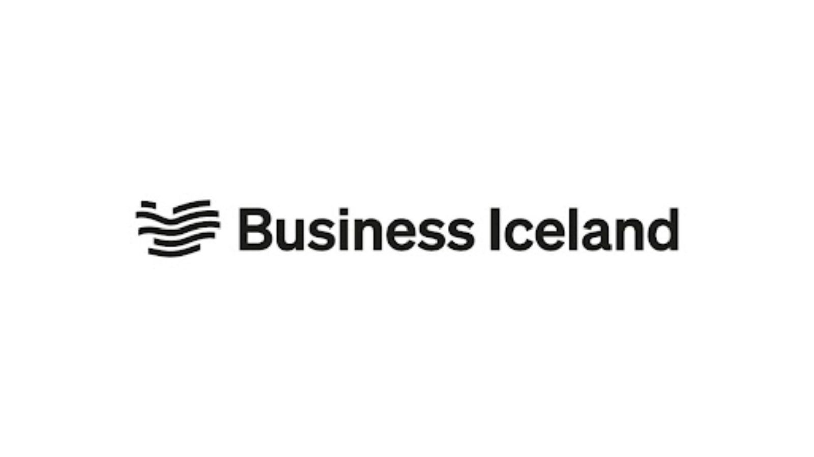 business iceland logo