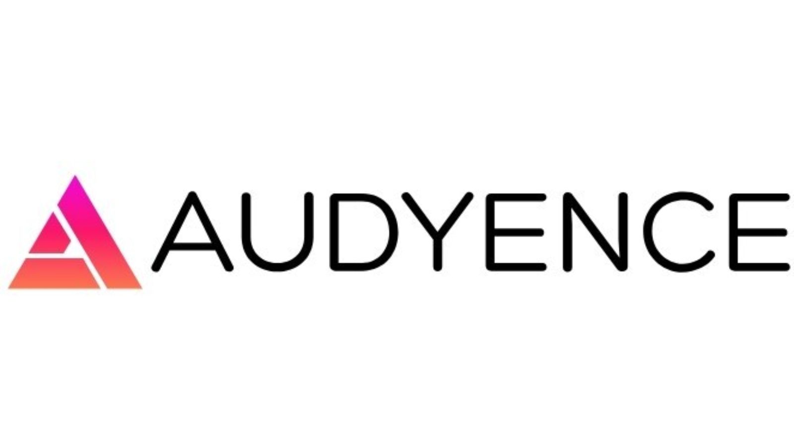 audyence logo