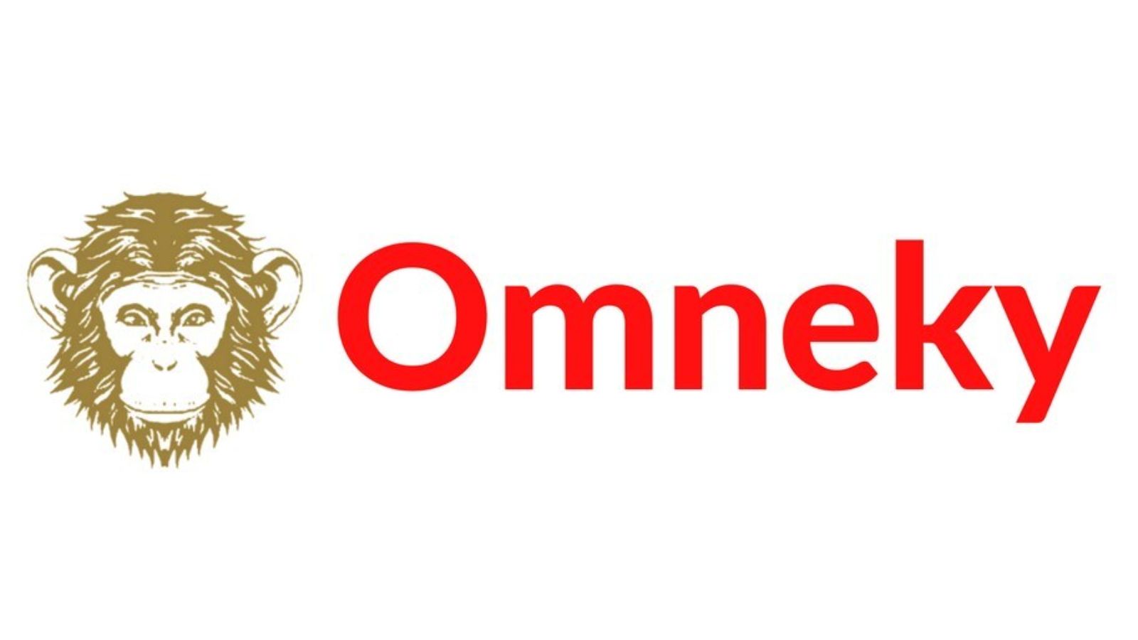 omneky logo