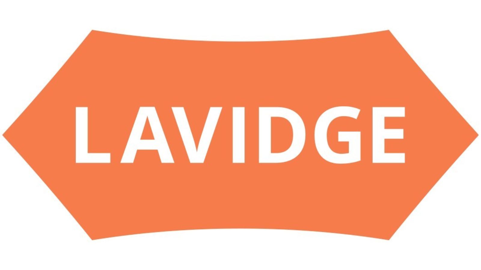 lavidge logo