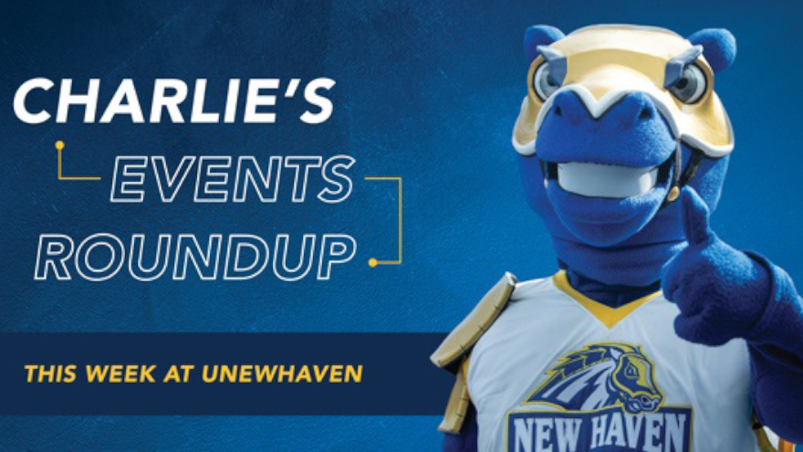 marketing awards - University of New Haven Wins Six Collegiate Advertising Awards