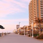 tourism marketing - Virginia Beach Launches $1M Tourism Marketing Campaign