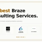 best Braze consulting services